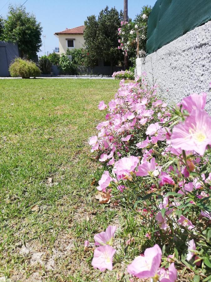 Anestis Studios Agios Georgios  Exterior foto